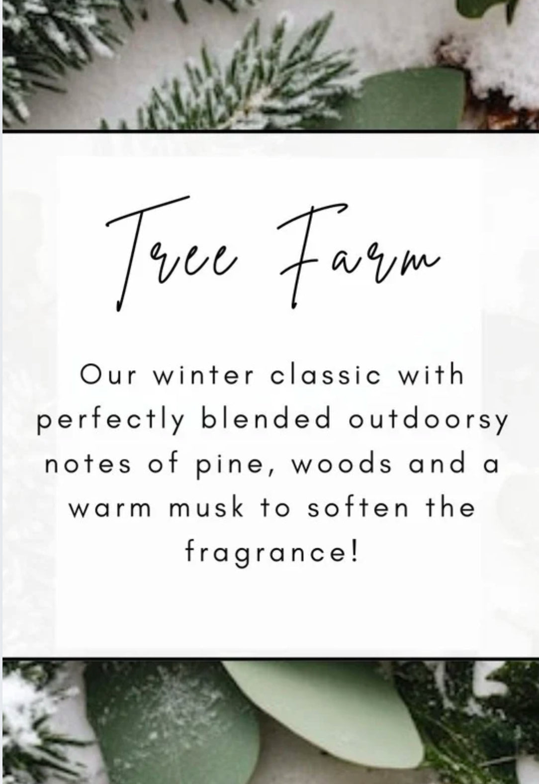Tree Farm 8oz Car Diffuser